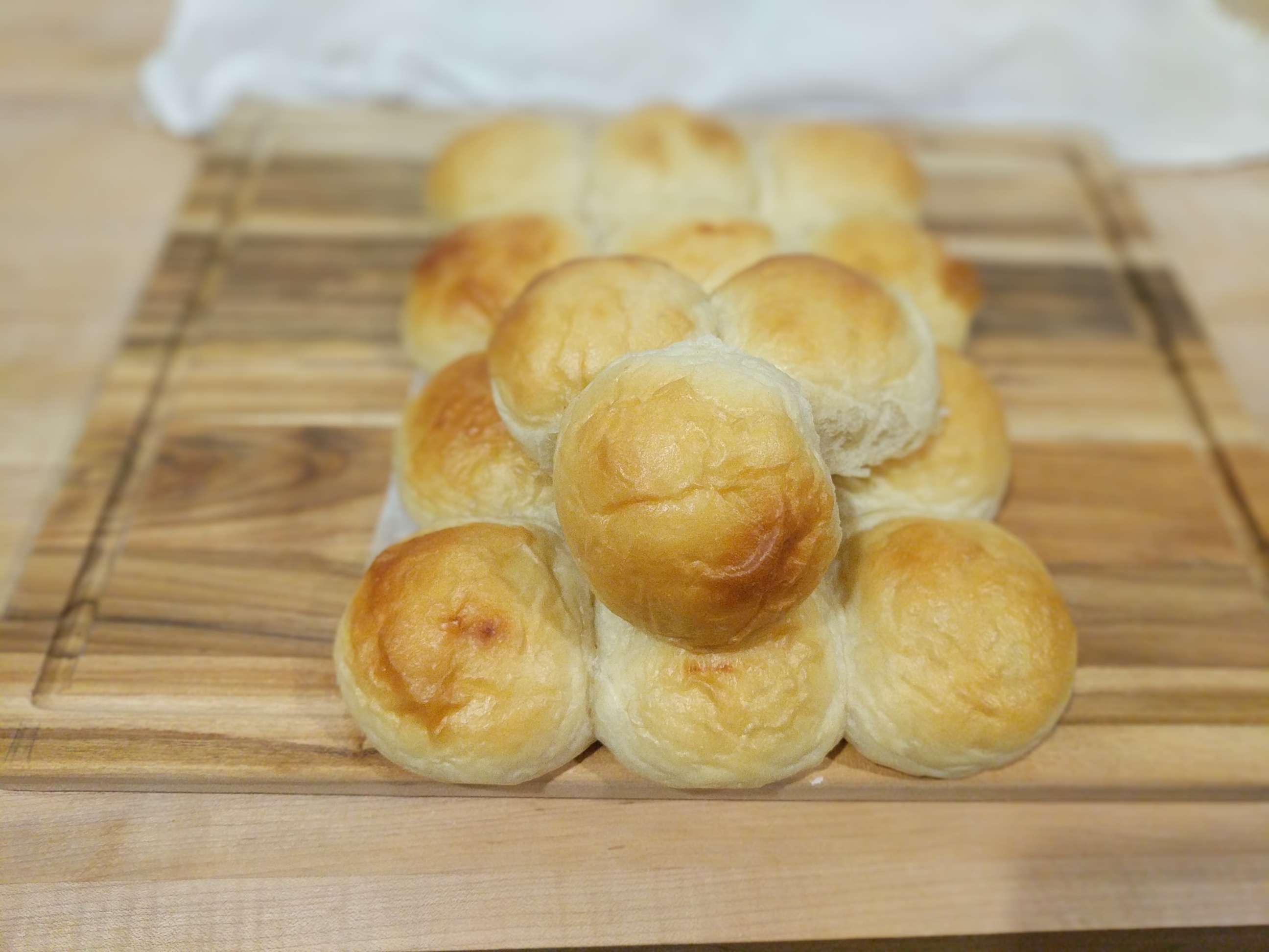 Dinner Rolls